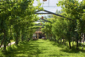 Hostería - Bodega Valle Divino